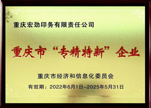 重庆市专精特企业