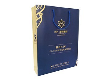 纸质手提袋