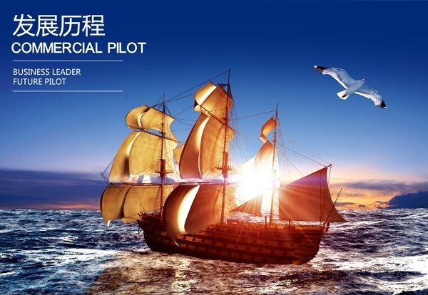 战略愿景